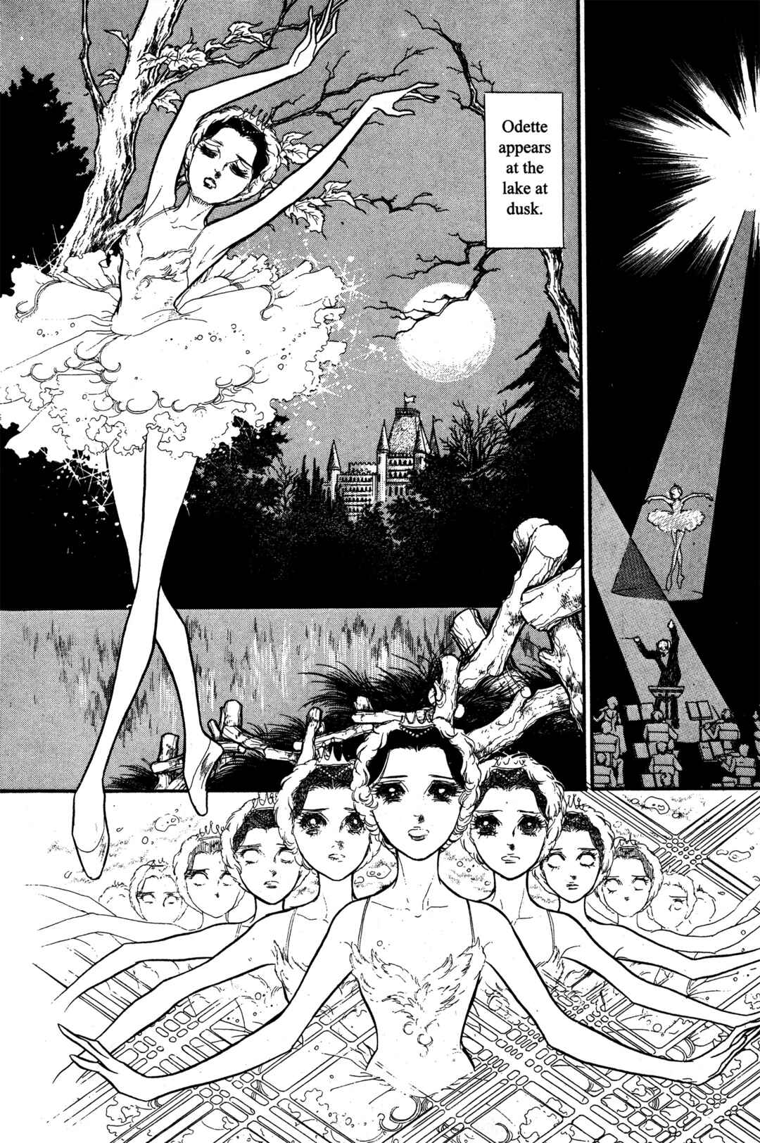 Page 8 Chapter 22 SWAN
