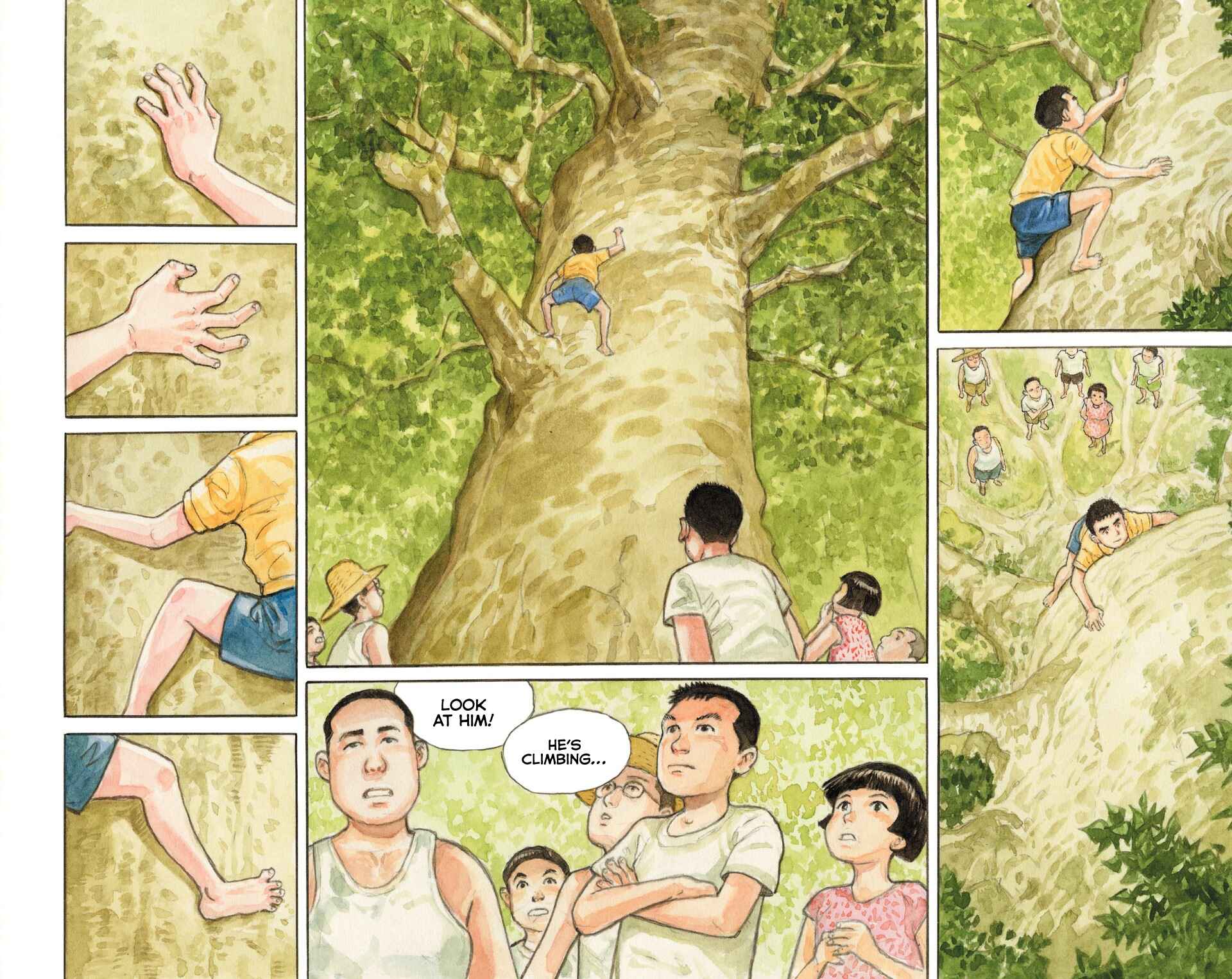 Page 28 Chapter Unknown_d1e0 The Millennium Forest