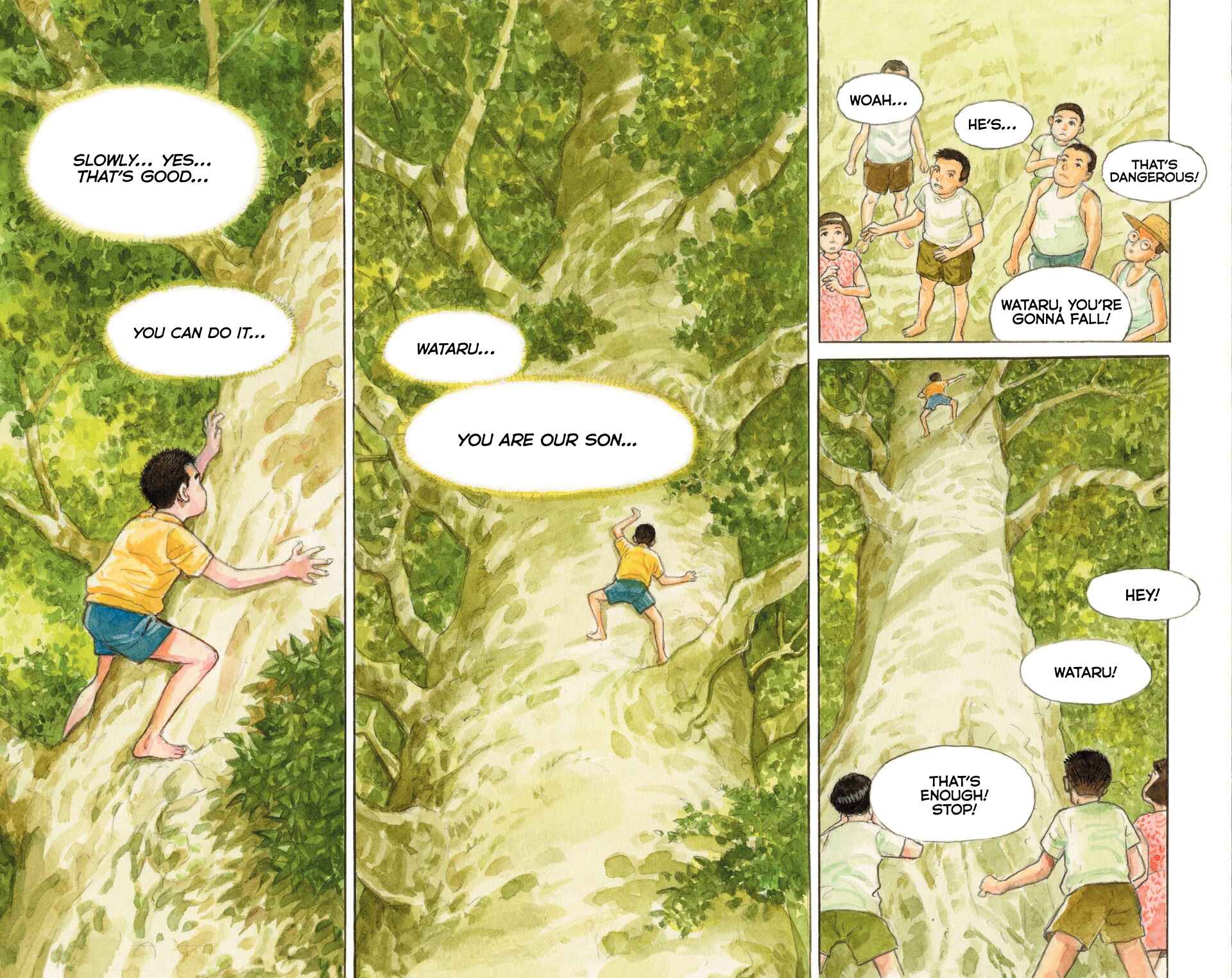 Page 29 Chapter Unknown_d1e0 The Millennium Forest