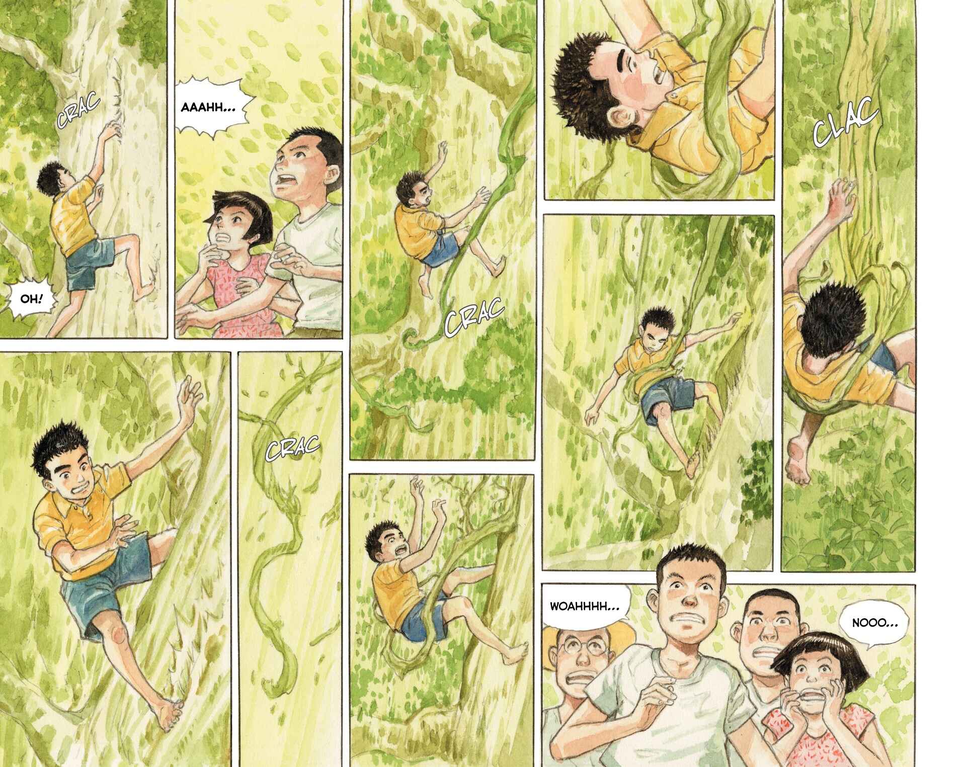 Page 31 Chapter Unknown_d1e0 The Millennium Forest