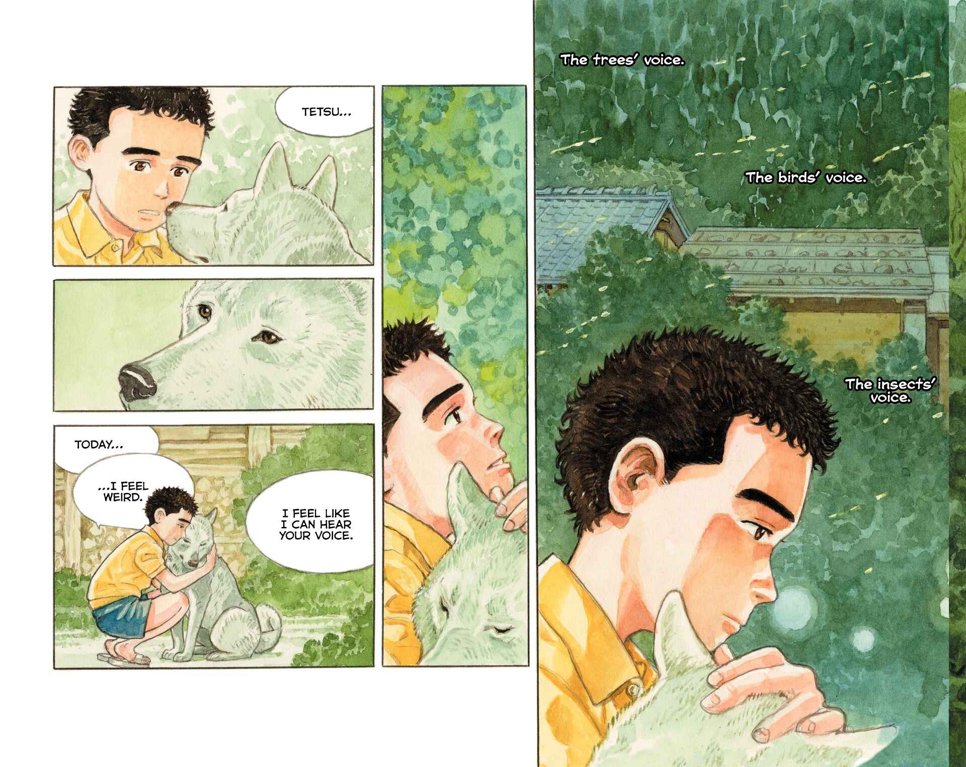 Page 37 Chapter Unknown_d1e0 The Millennium Forest