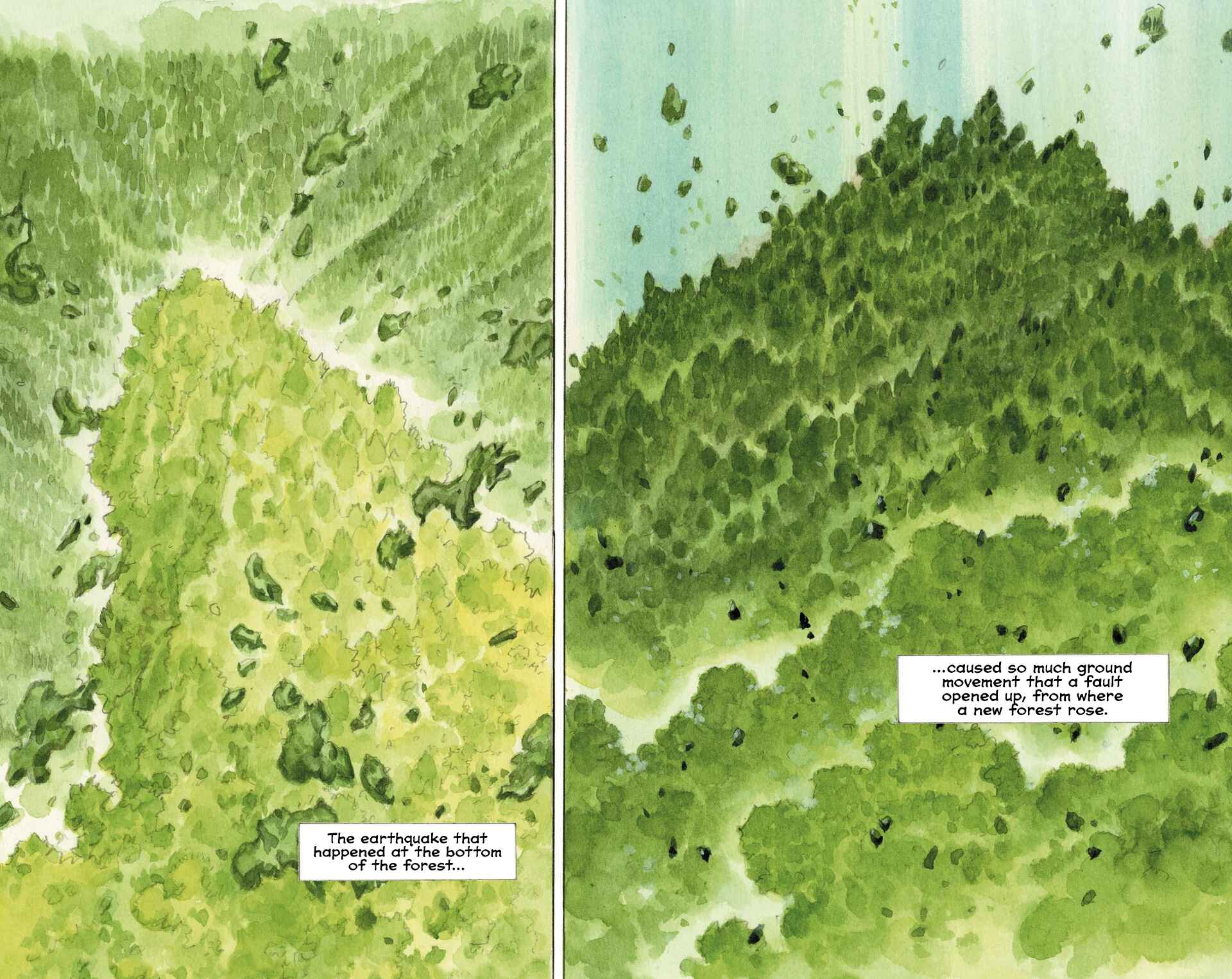Page 7 Chapter Unknown_d1e0 The Millennium Forest