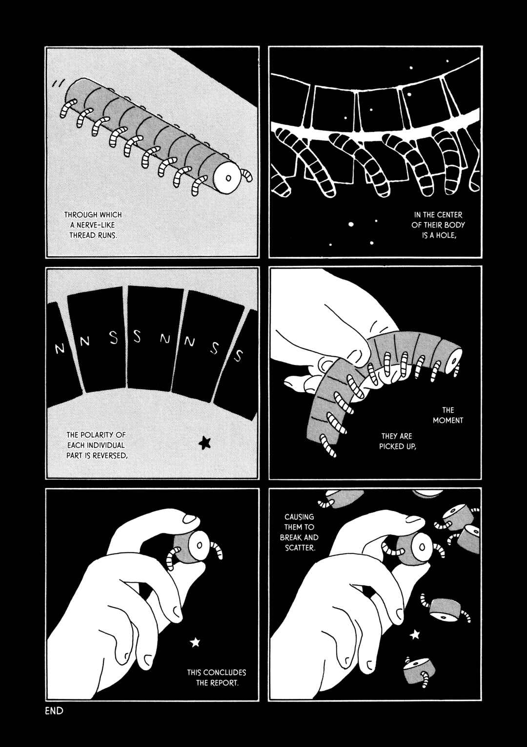 Page 2 Chapter 2 Variant