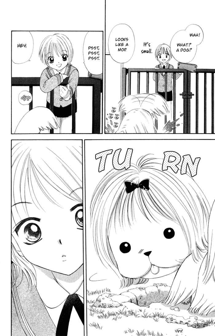 Page 24 Chapter 2 Punch!