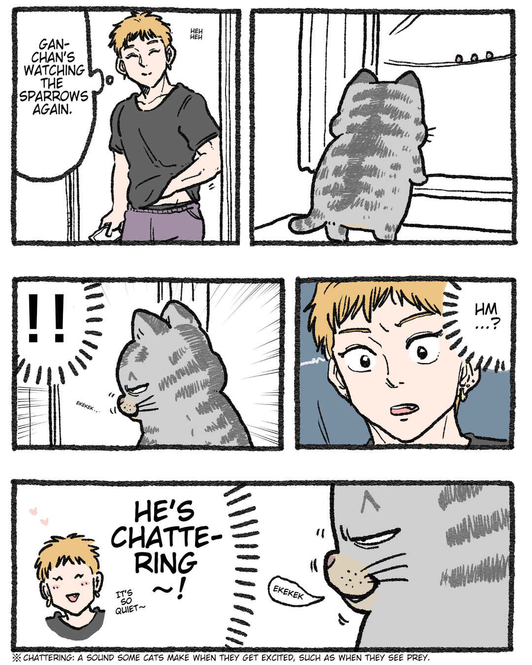 Page 1 Chapter 568.5 Neko Oji: Salaryman reincarnated as a kitten!