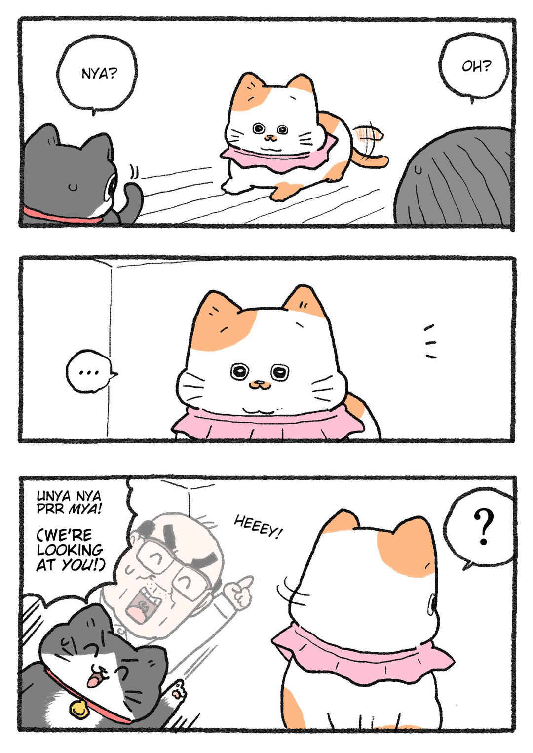 Page 2 Chapter 461 Neko Oji: Salaryman reincarnated as a kitten!