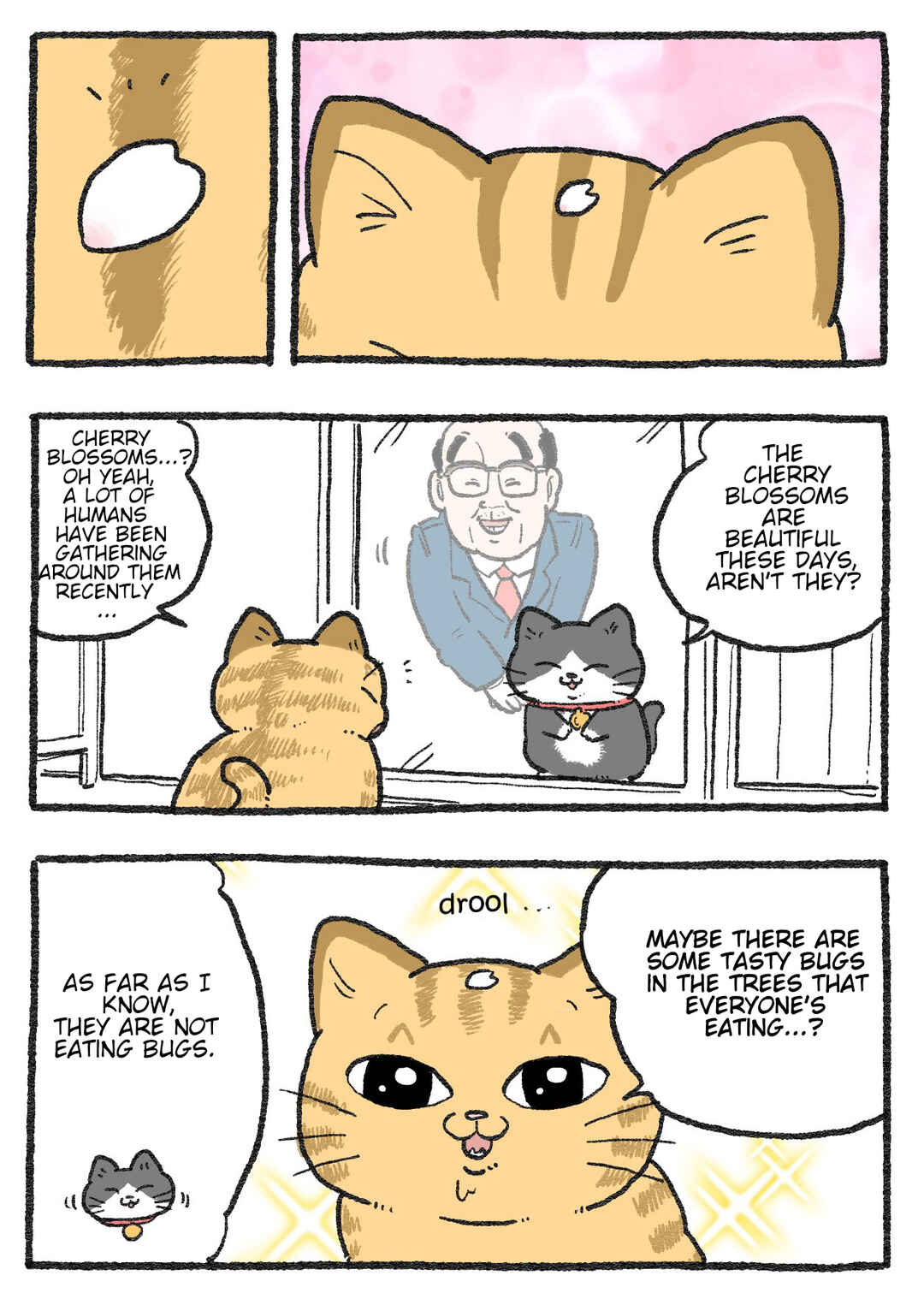 Page 2 Chapter 430 Neko Oji: Salaryman reincarnated as a kitten!