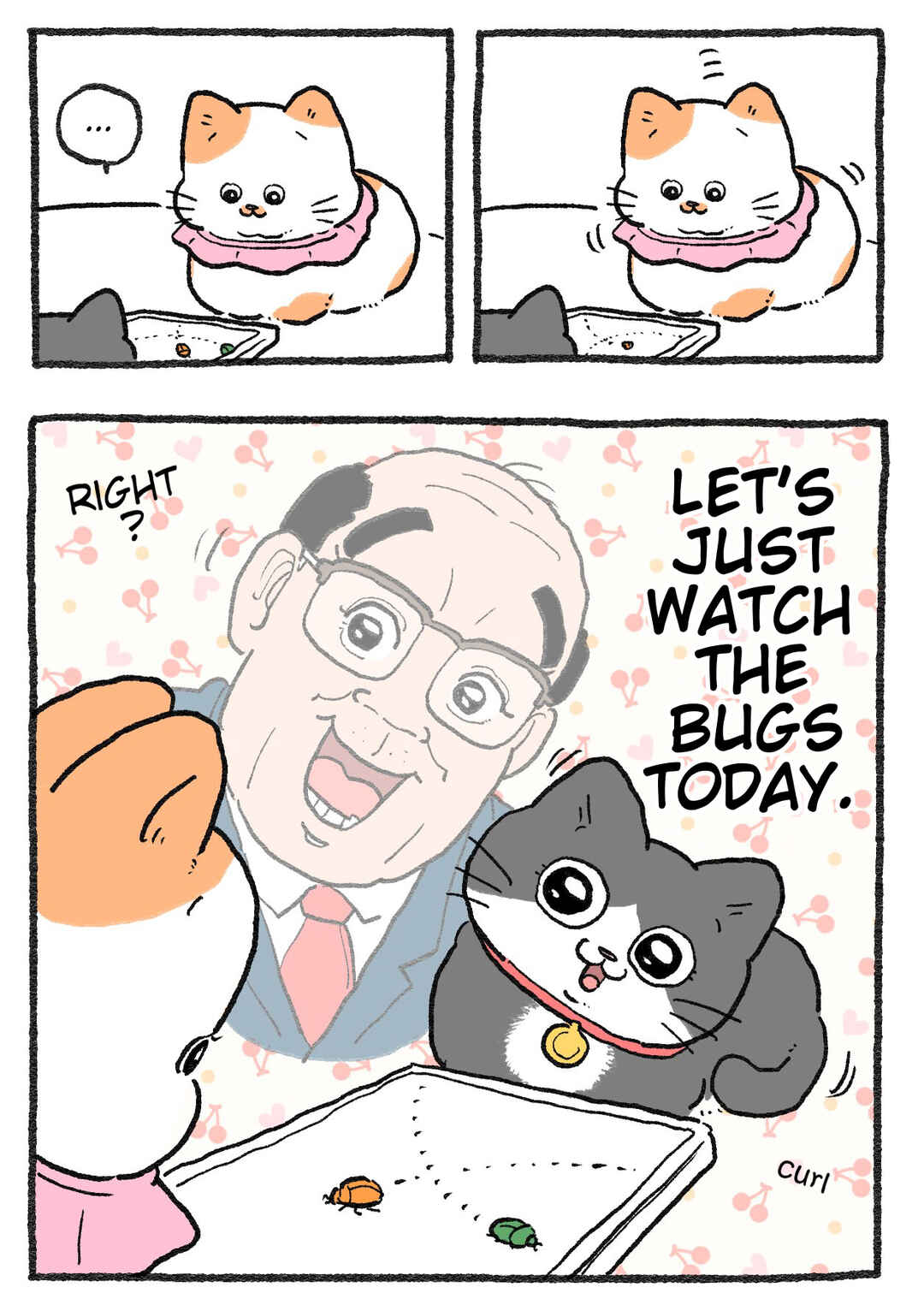 Page 2 Chapter 424 Neko Oji: Salaryman reincarnated as a kitten!