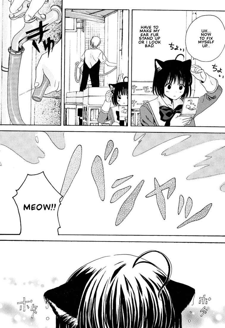 Page 17 Chapter 4 Stop! Goshujin-sama