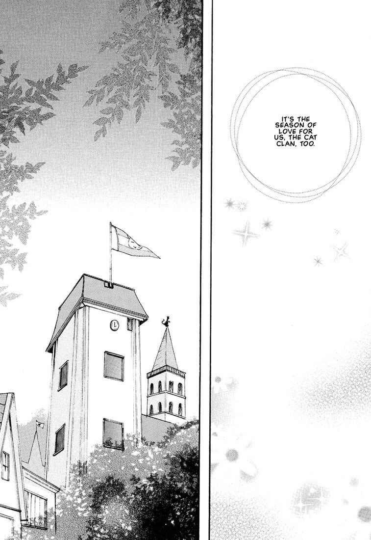 Page 5 Chapter 4 Stop! Goshujin-sama