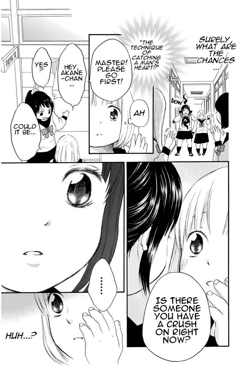 Page 19 Chapter 19 Pochamani