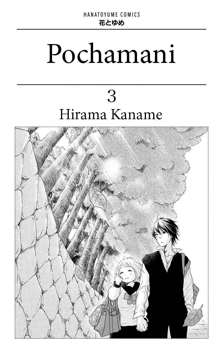 Page 3 Chapter 12 Pochamani