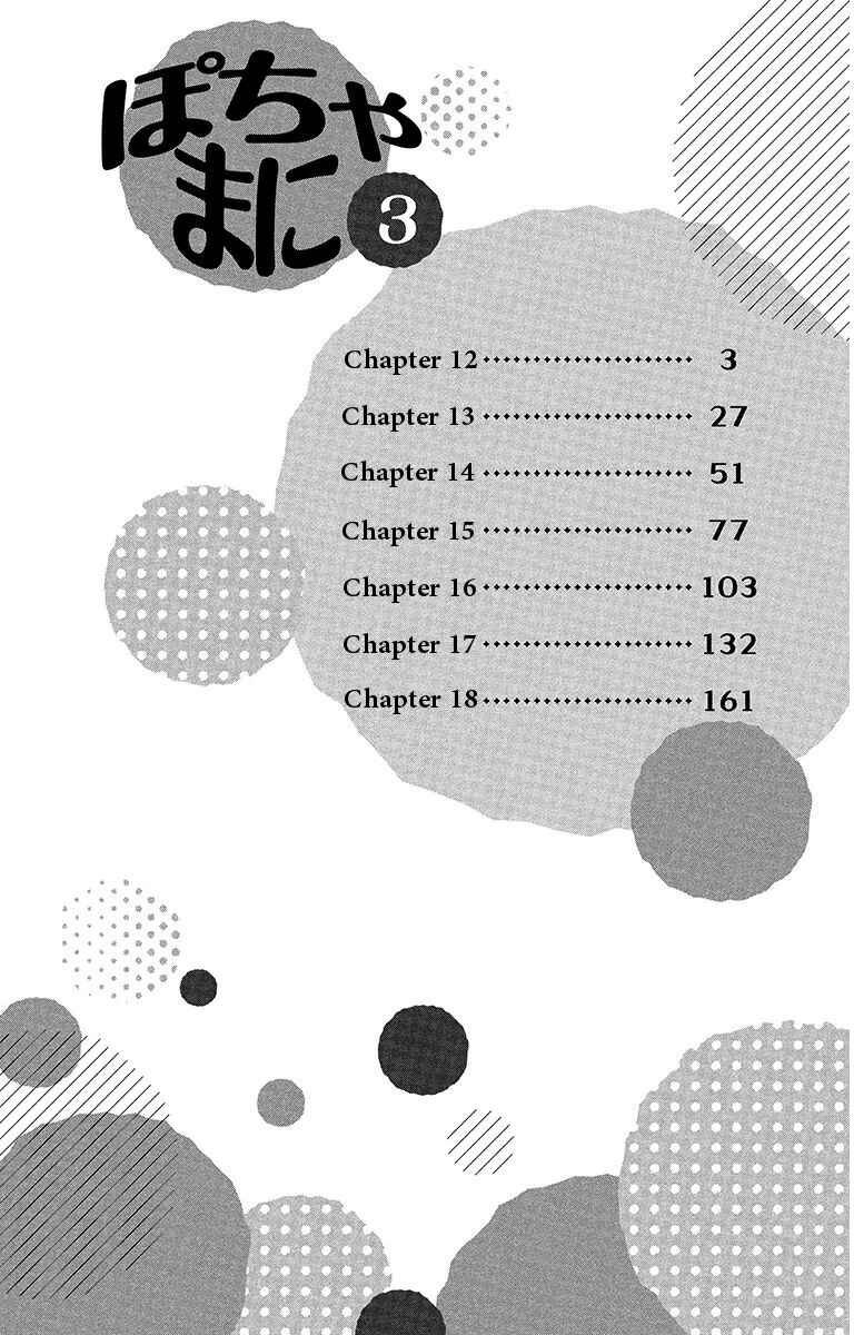 Page 4 Chapter 12 Pochamani