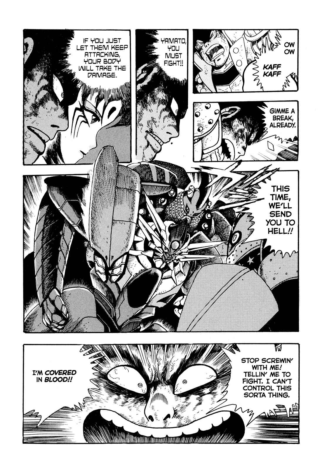 Page 33 Chapter 2 The Seiten Wars Flieder Bug