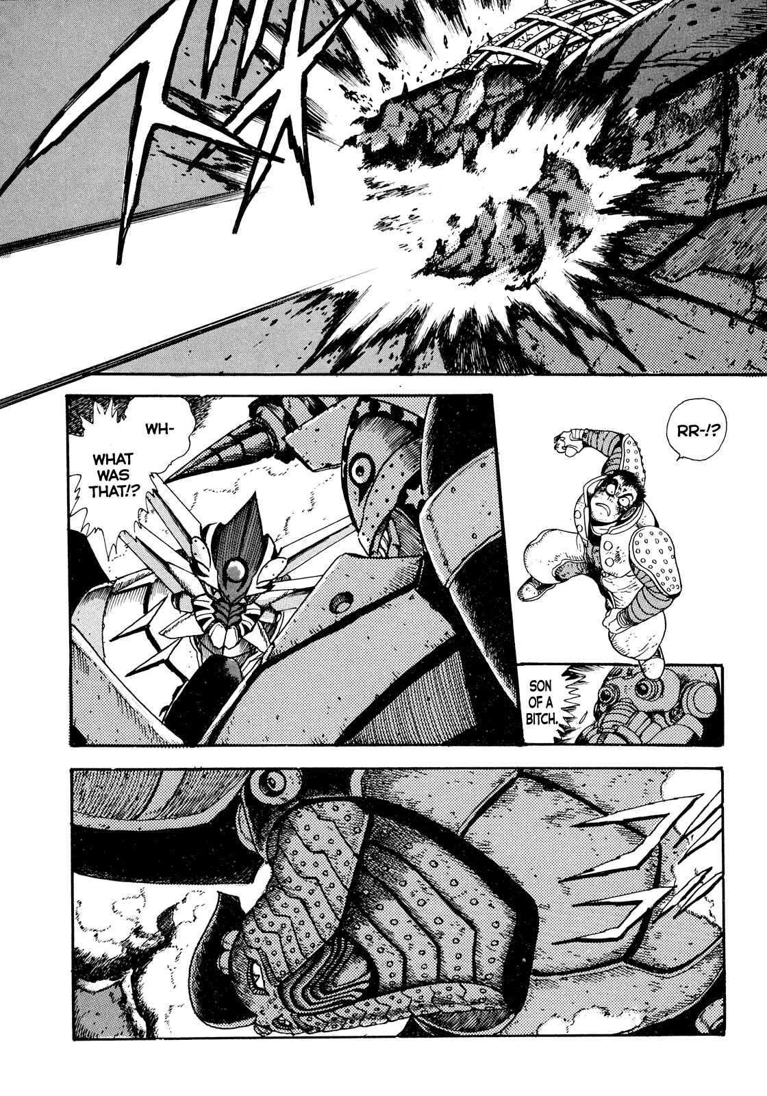 Page 36 Chapter 2 The Seiten Wars Flieder Bug