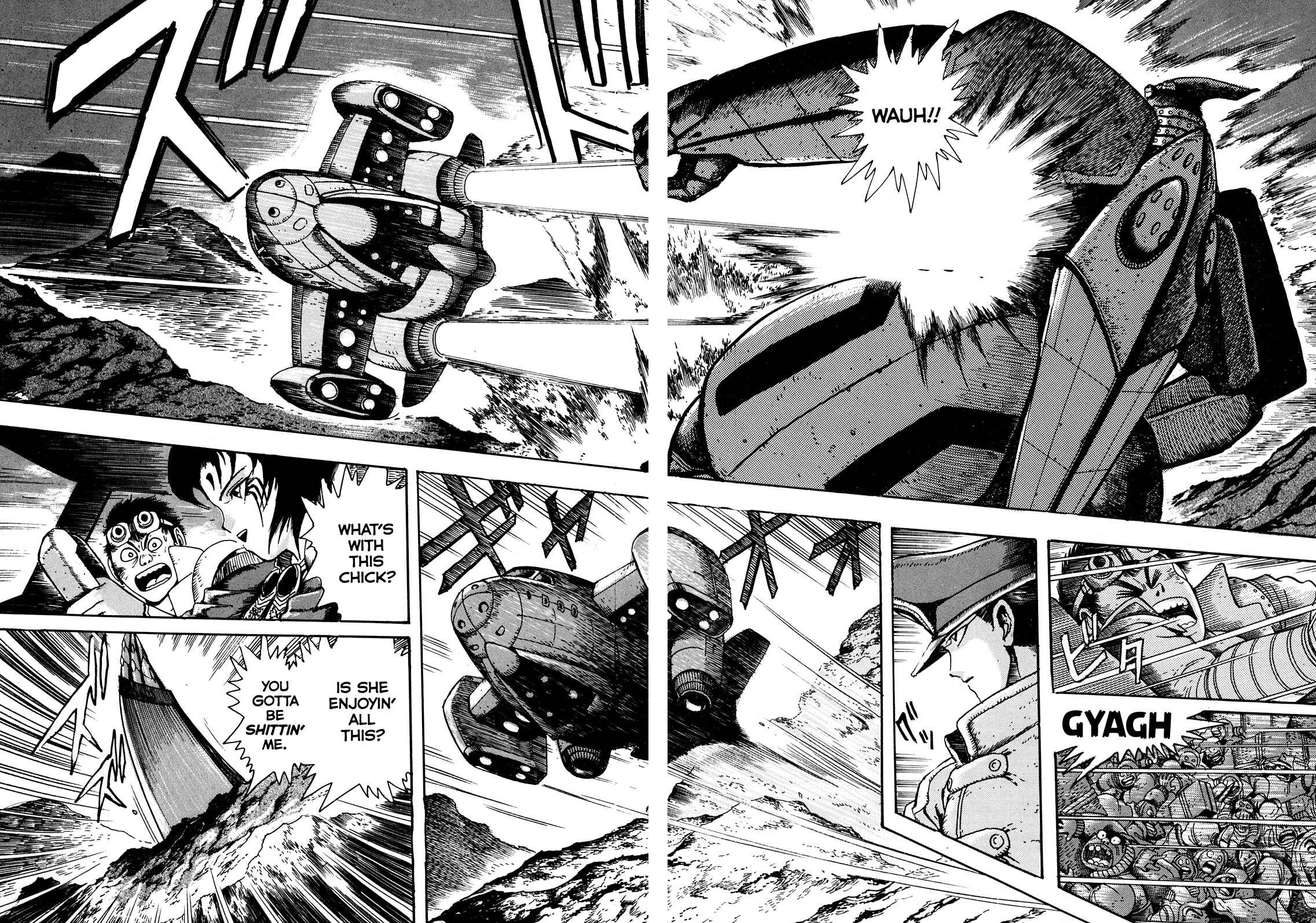 Page 6 Chapter 2 The Seiten Wars Flieder Bug