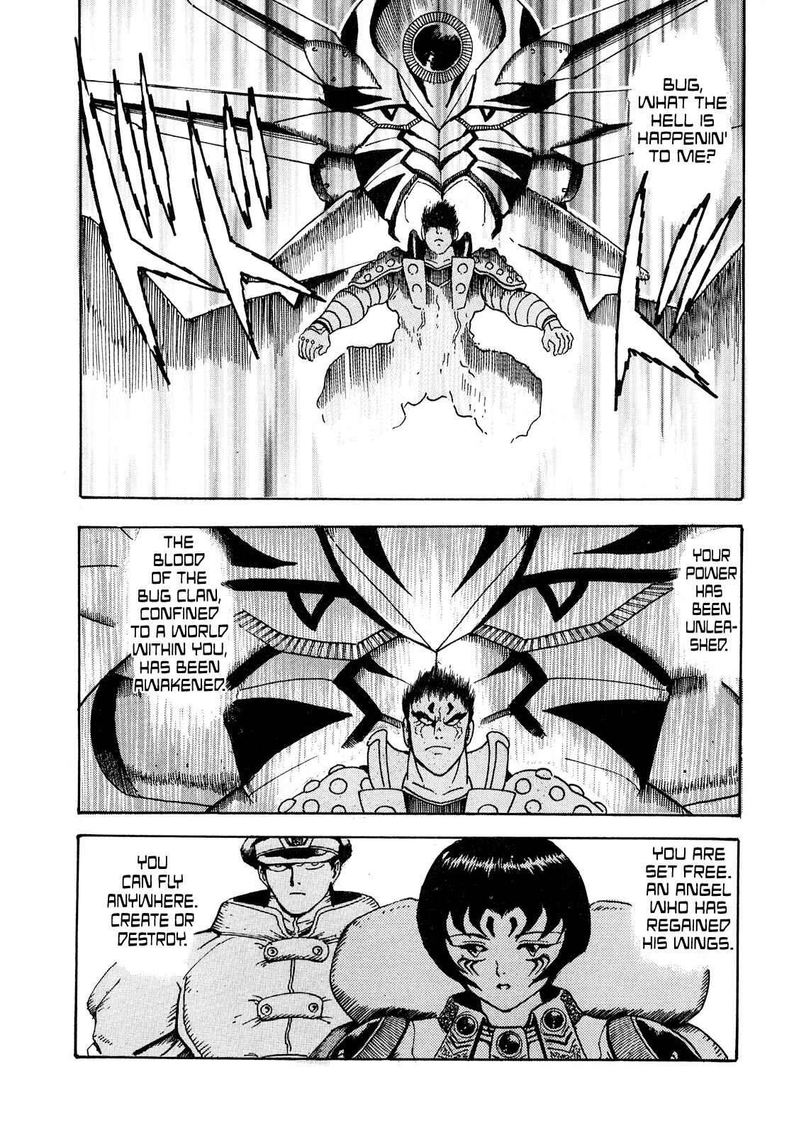Page 16 Chapter 9 The Seiten Wars Flieder Bug