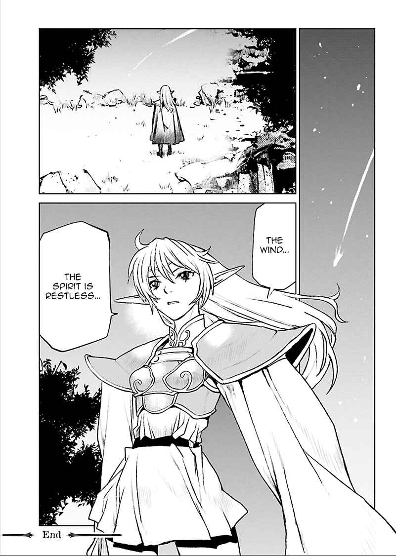 Page 29 Chapter 1 Record of Lodoss War - The Grey Witch
