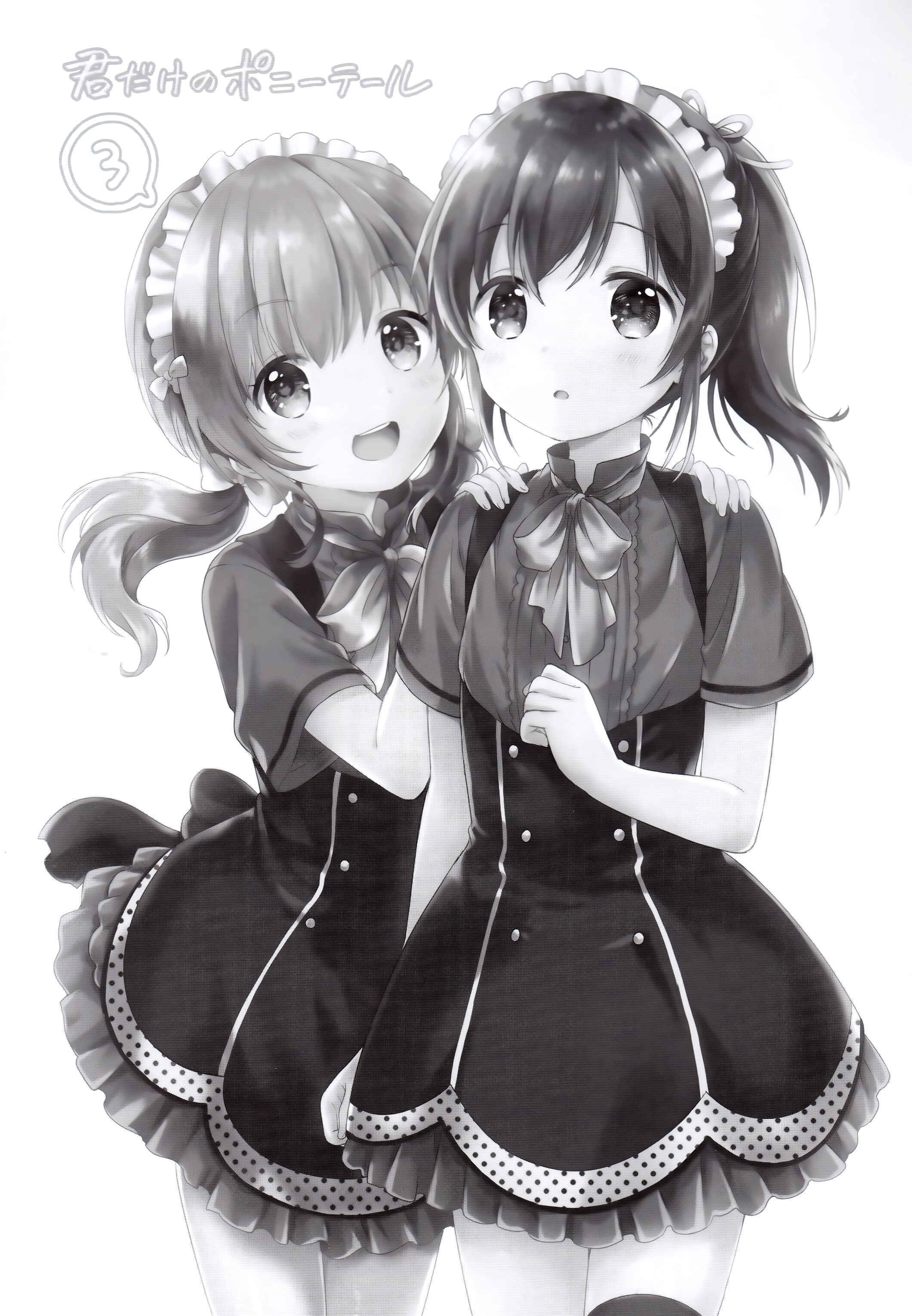 Page 2 Chapter 3 Kimi Dake no Ponytail