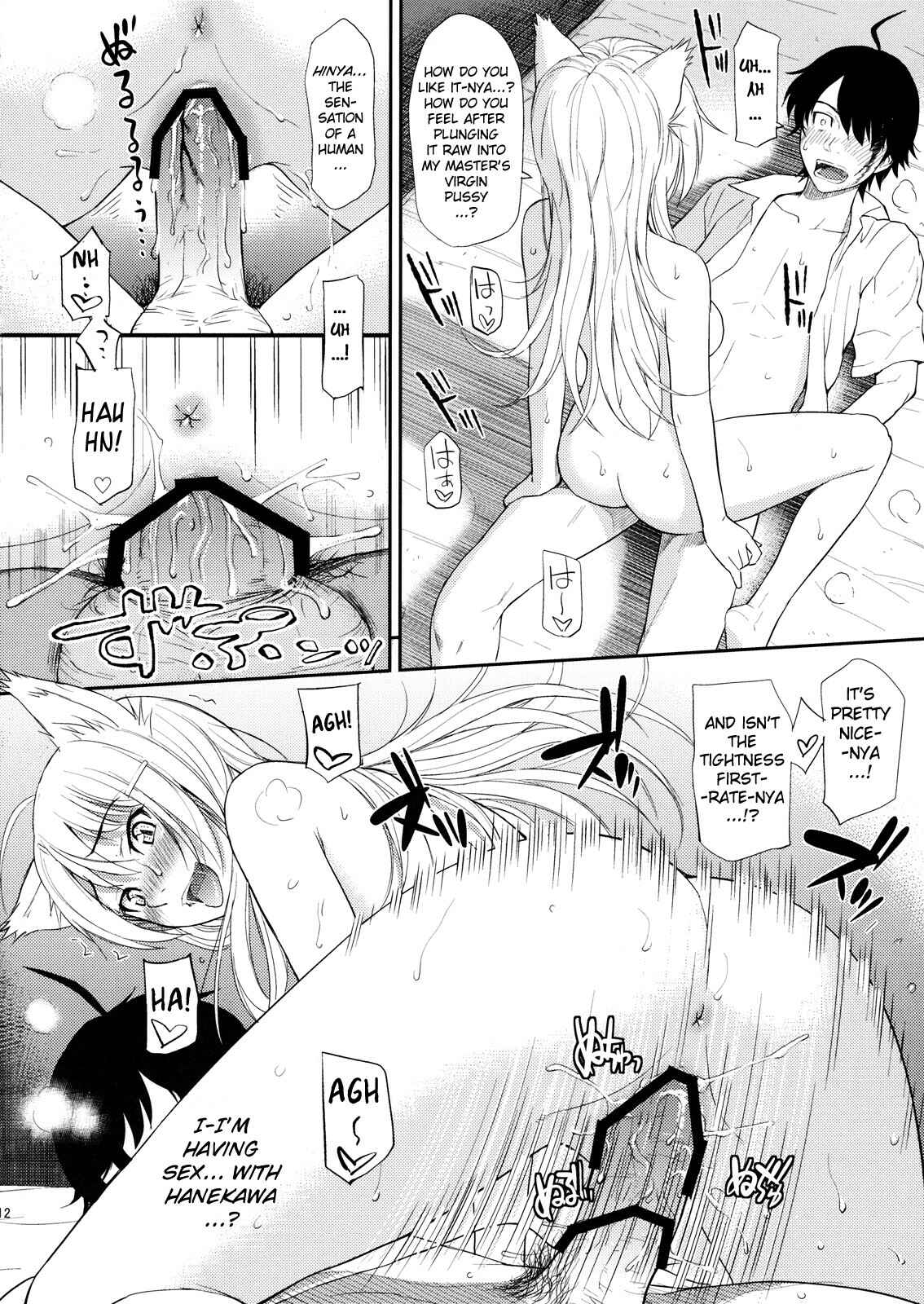 Page 12 Chapter Unknown_233b Bakemonogatari - Bakenekogatari (Doujinshi)