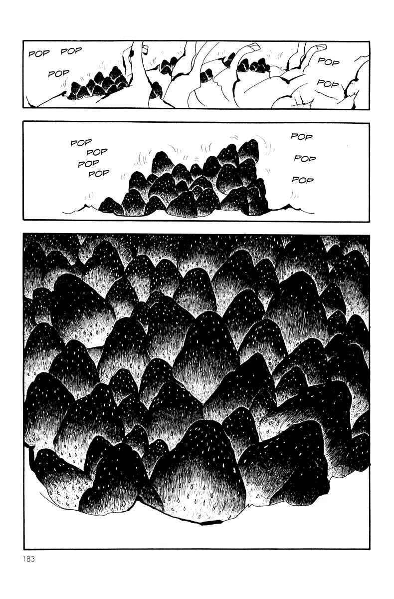 Page 15 Chapter 10 Lamplight