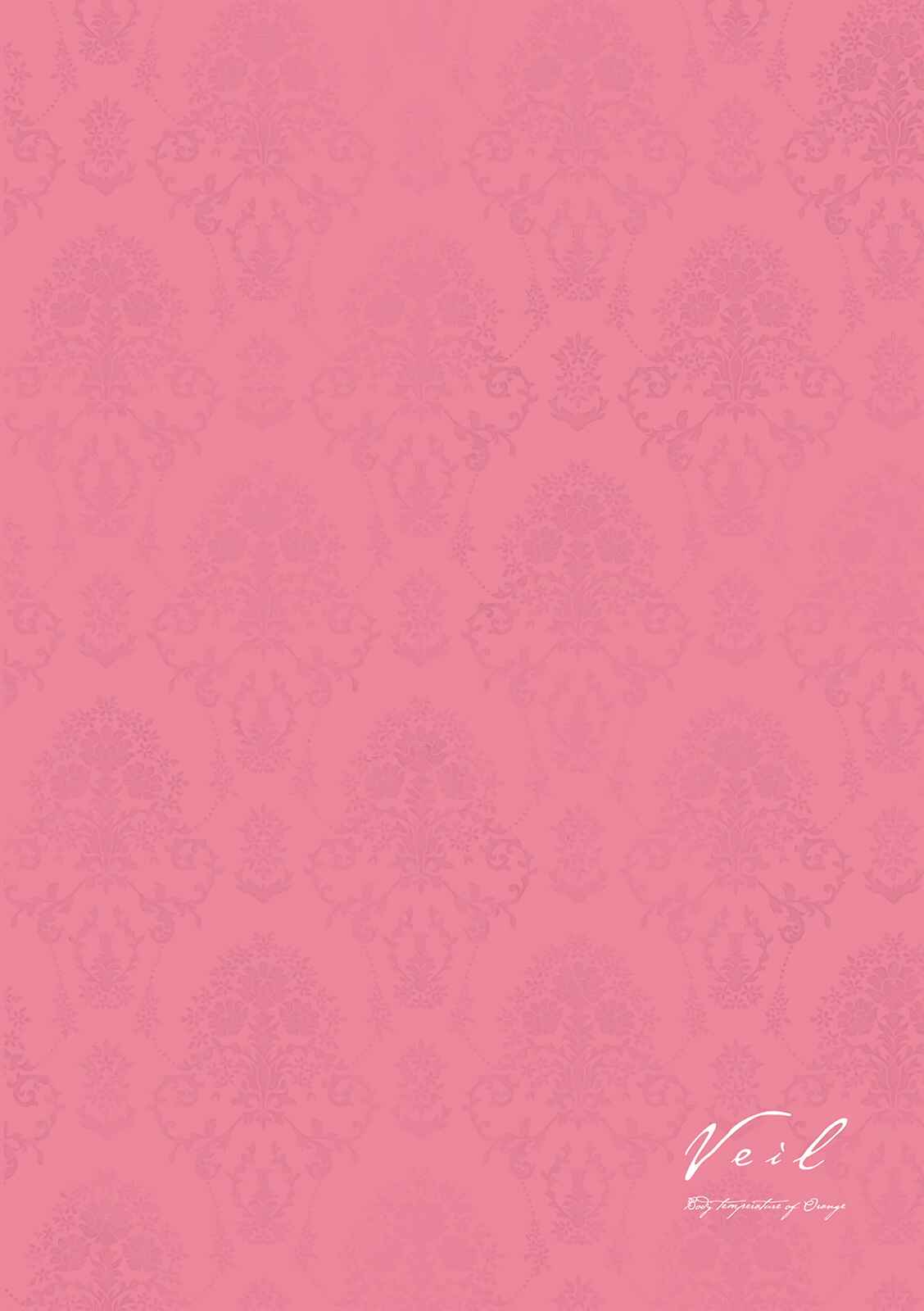Page 5 Chapter 11 Veil