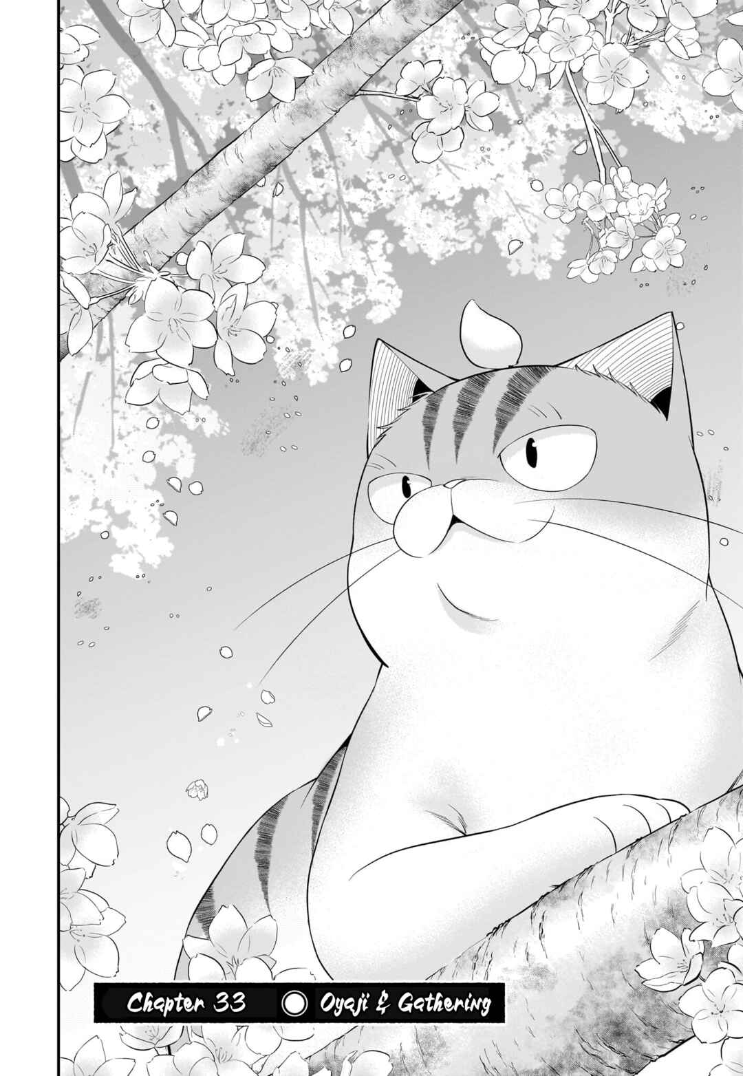 Page 3 Chapter 33 Neko ga Gotoku