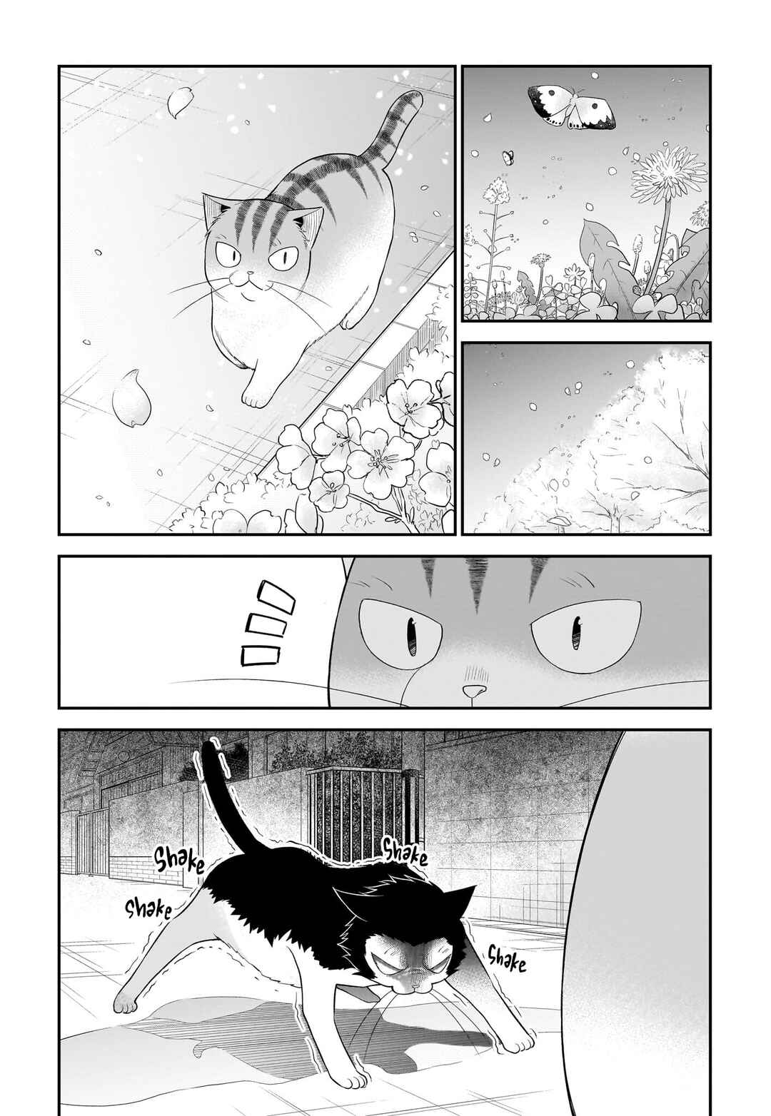 Page 4 Chapter 33 Neko ga Gotoku