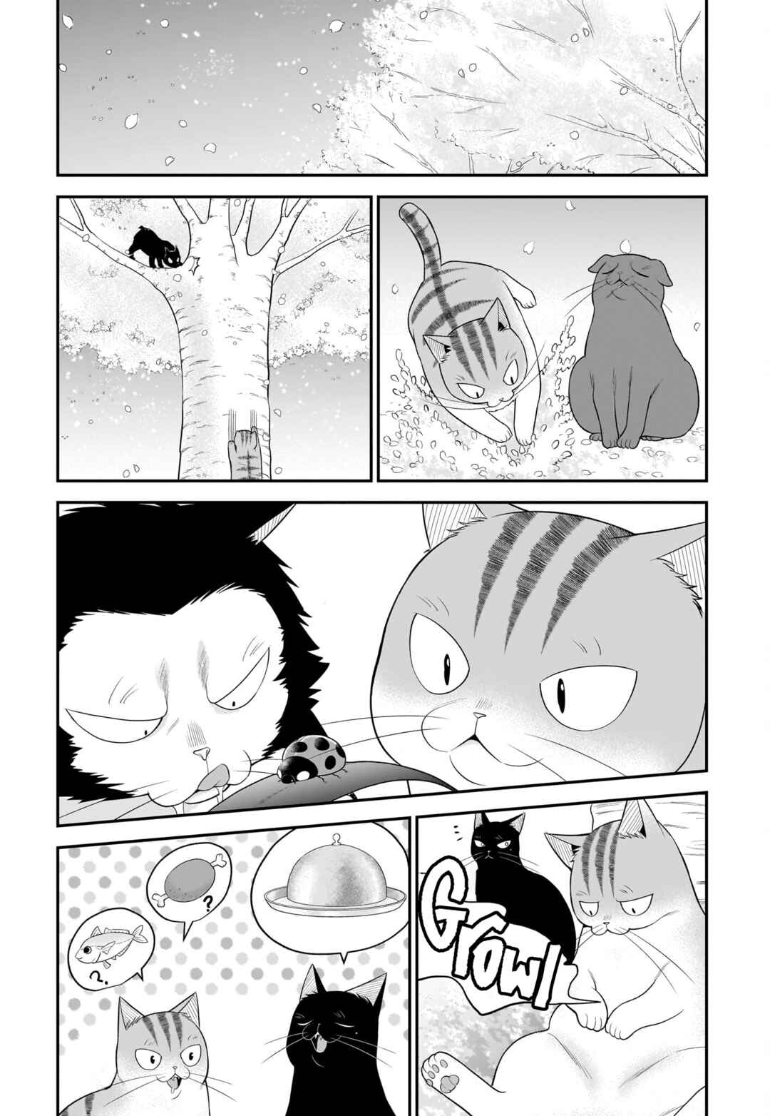 Page 6 Chapter 33 Neko ga Gotoku