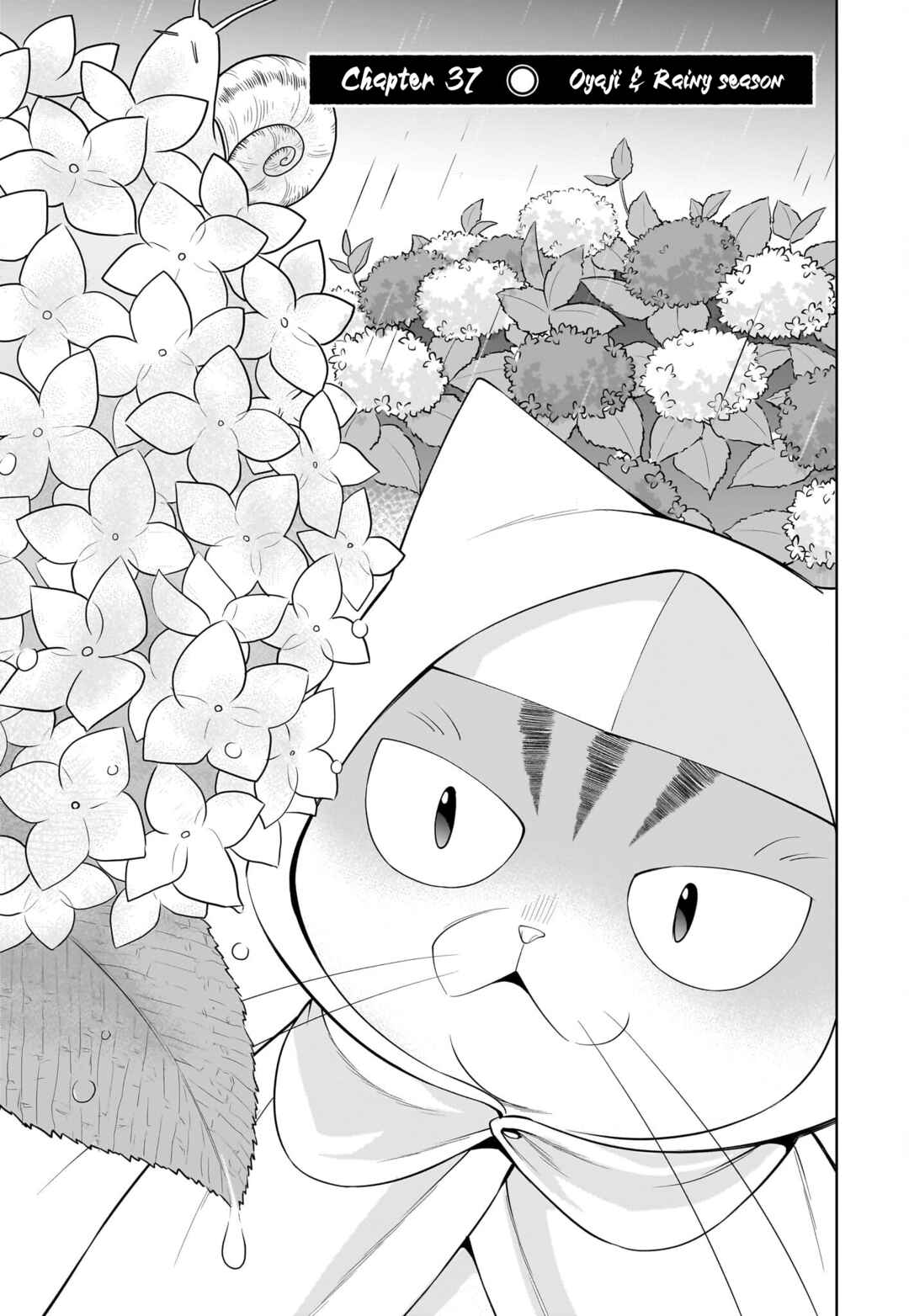 Page 4 Chapter 37 Neko ga Gotoku