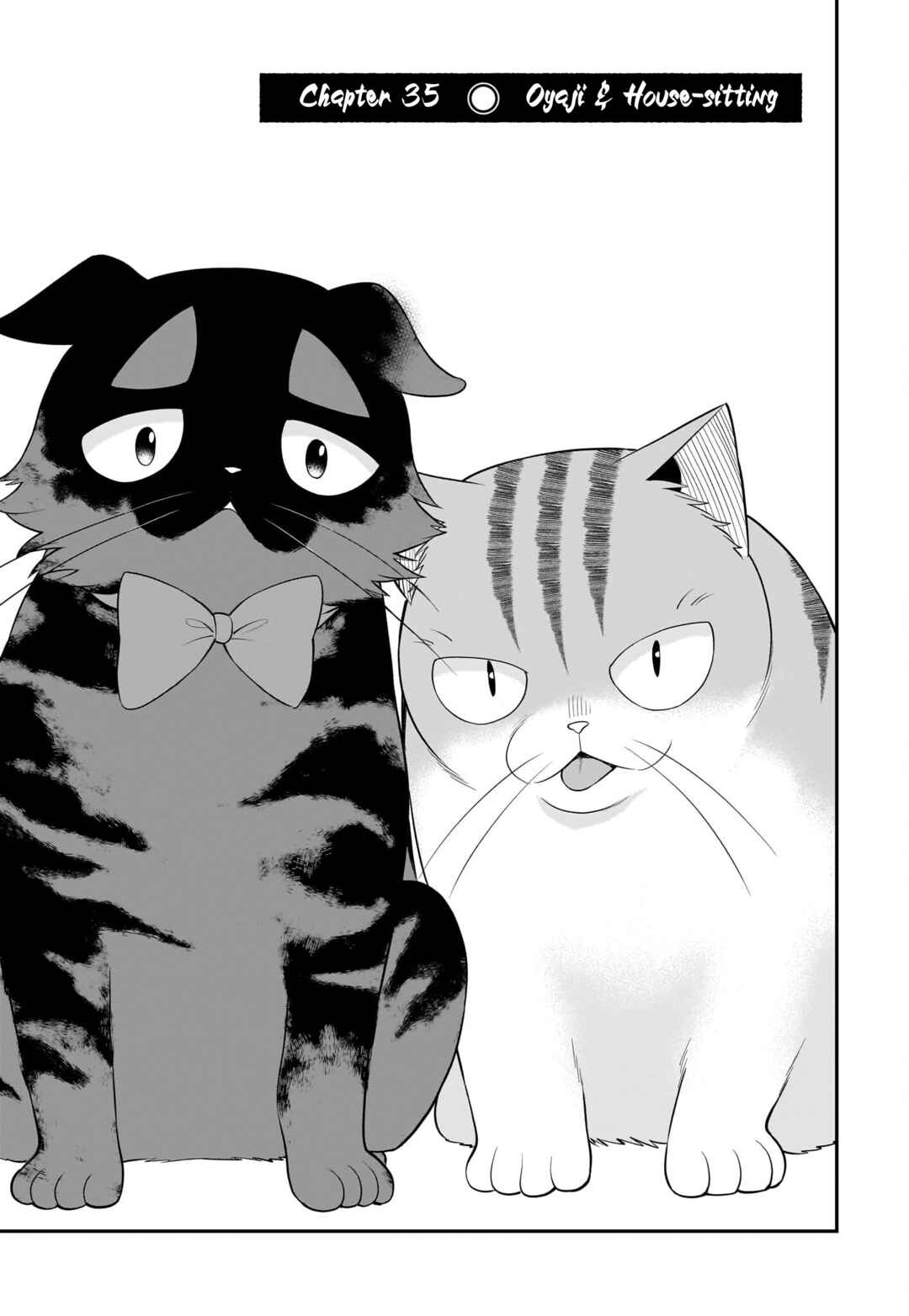 Page 4 Chapter 35 Neko ga Gotoku