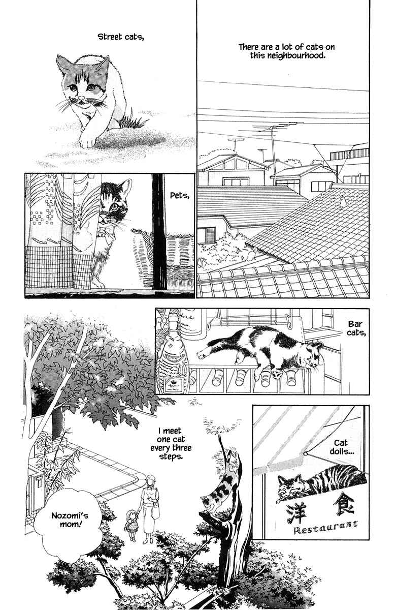 Page 5 Chapter 11.1 The Worlds Most Tender Music