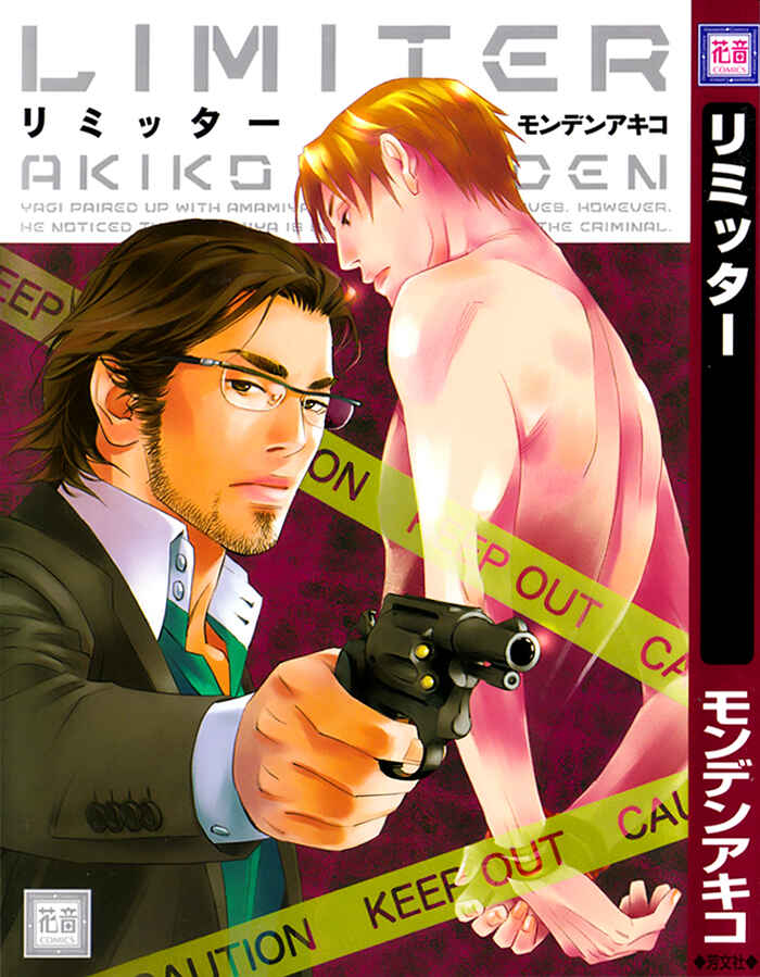 Page 2 Chapter 4 Limiter