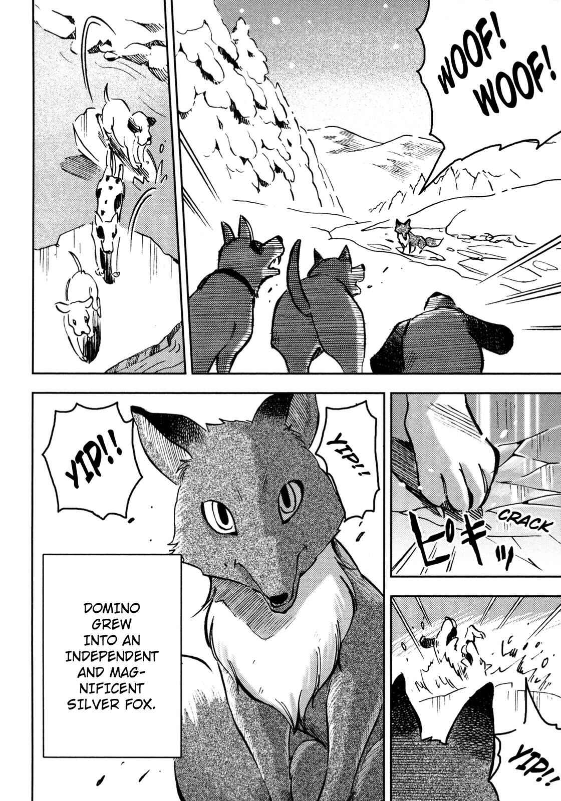 Page 15 Chapter 3 Setons Wild Animals (Variety Art Works)