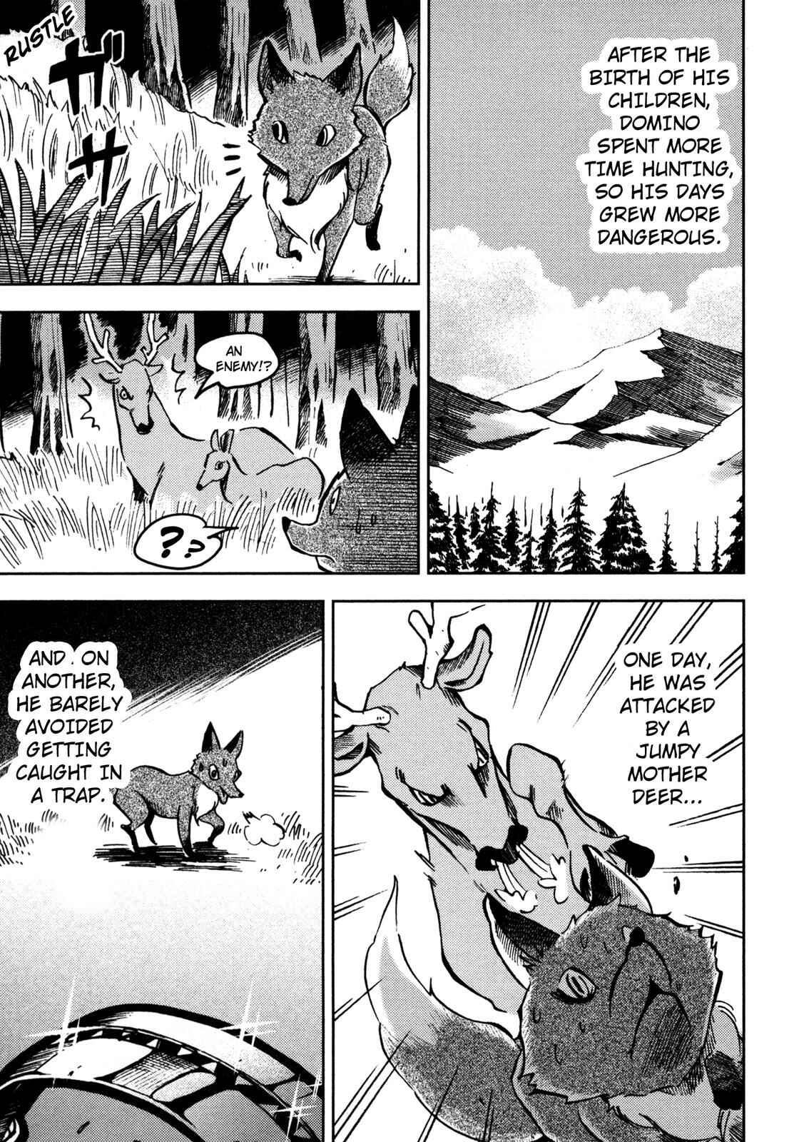 Page 20 Chapter 3 Setons Wild Animals (Variety Art Works)
