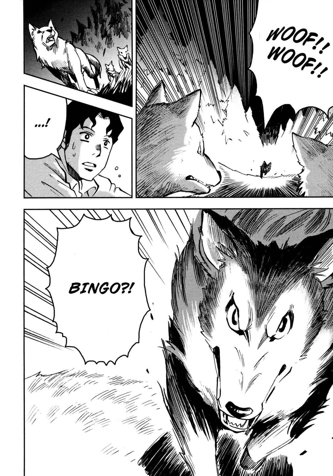 Page 46 Chapter 2 Setons Wild Animals (Variety Art Works)
