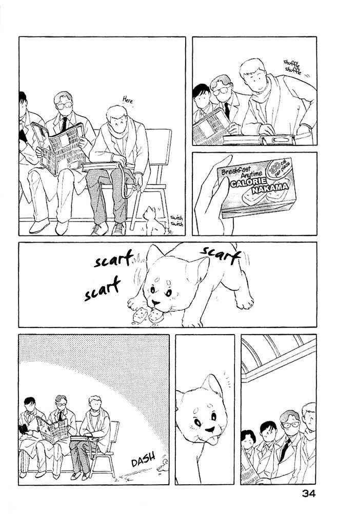 Page 5 Chapter 3 ShibaO