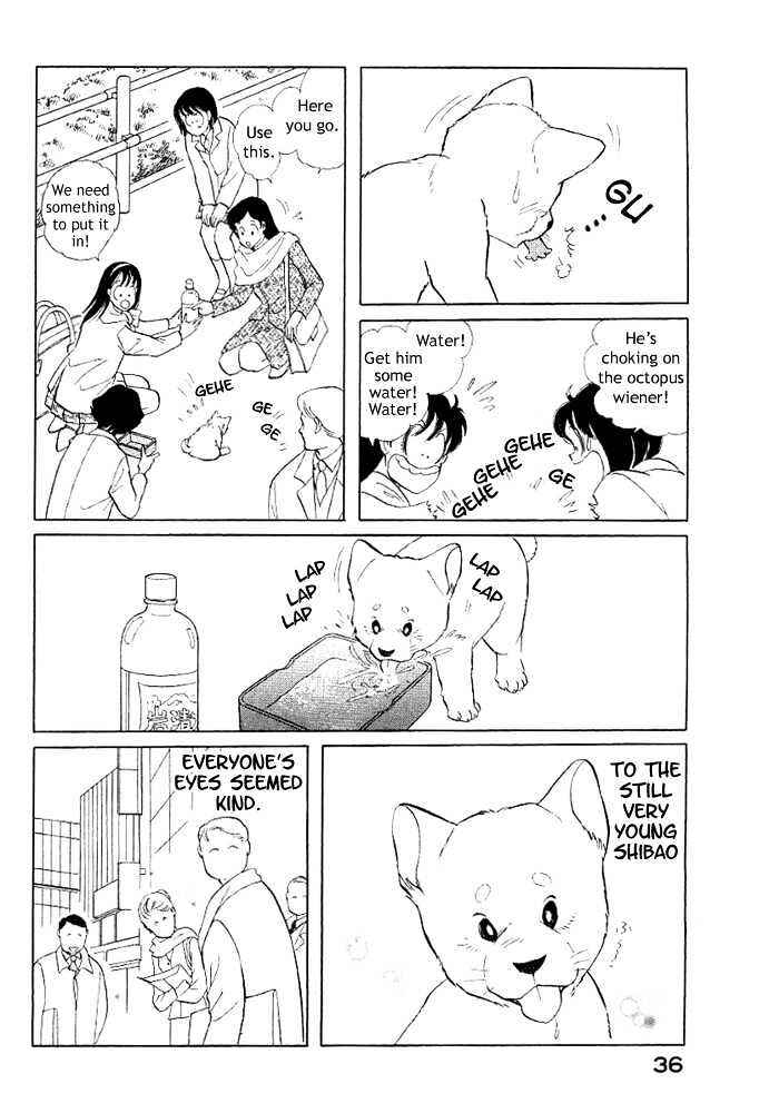 Page 7 Chapter 3 ShibaO