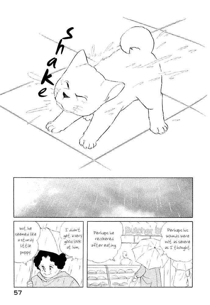 Page 14 Chapter 4 ShibaO