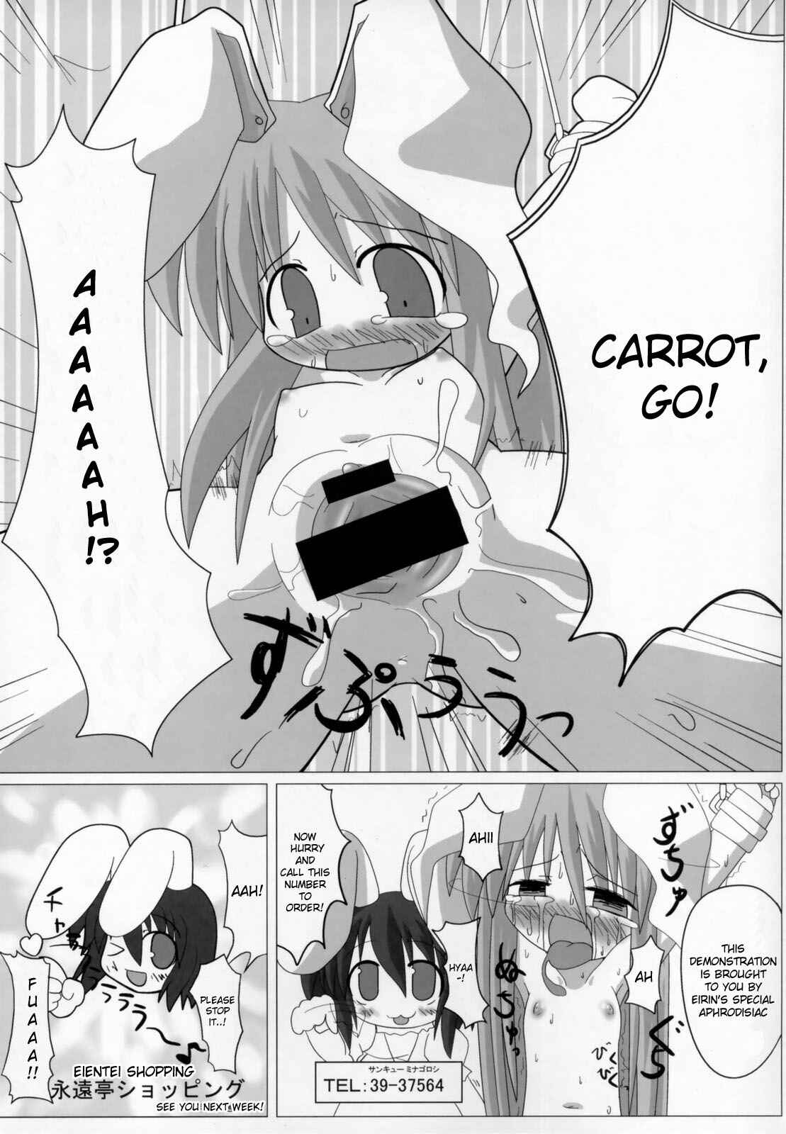 Page 25 Chapter Unknown_7223 Touhou - Udonge no Kusuri B Zazai (Doujinshi)
