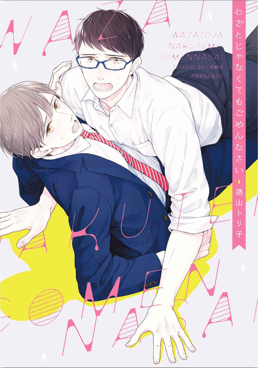 Page 3 Chapter 9.5 Wazato Janakute mo Gomennasai