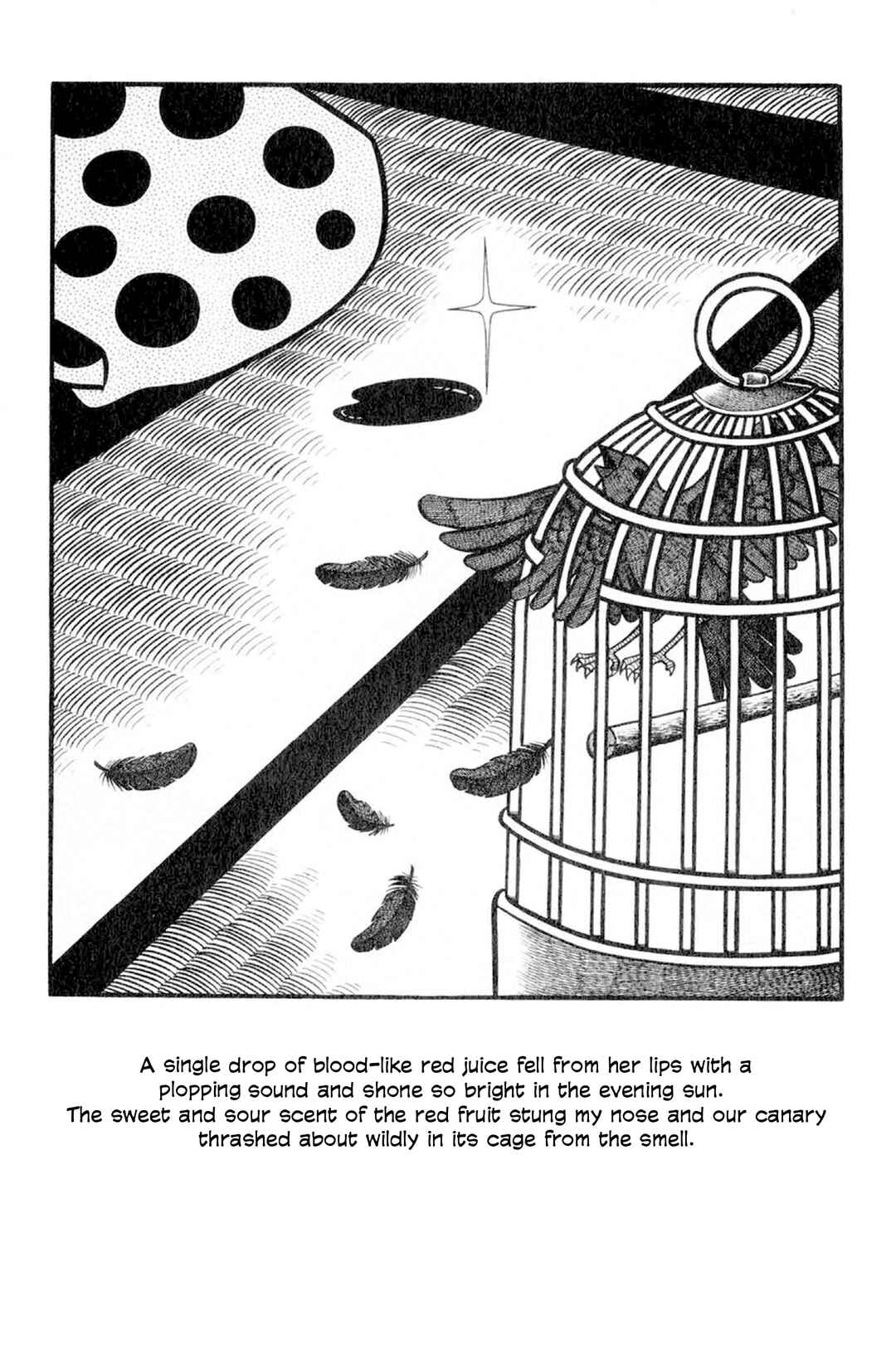 Page 5 Chapter Unknown_624f Red Fruit at the Railway Crossing