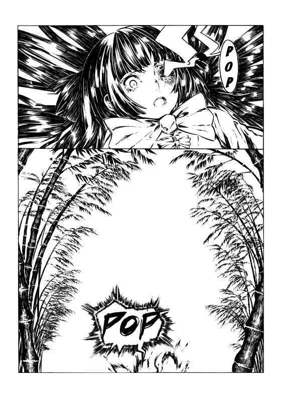 Page 4 Chapter Unknown_f248 Touhou - Something Like Kagumoko (Doujinshi)
