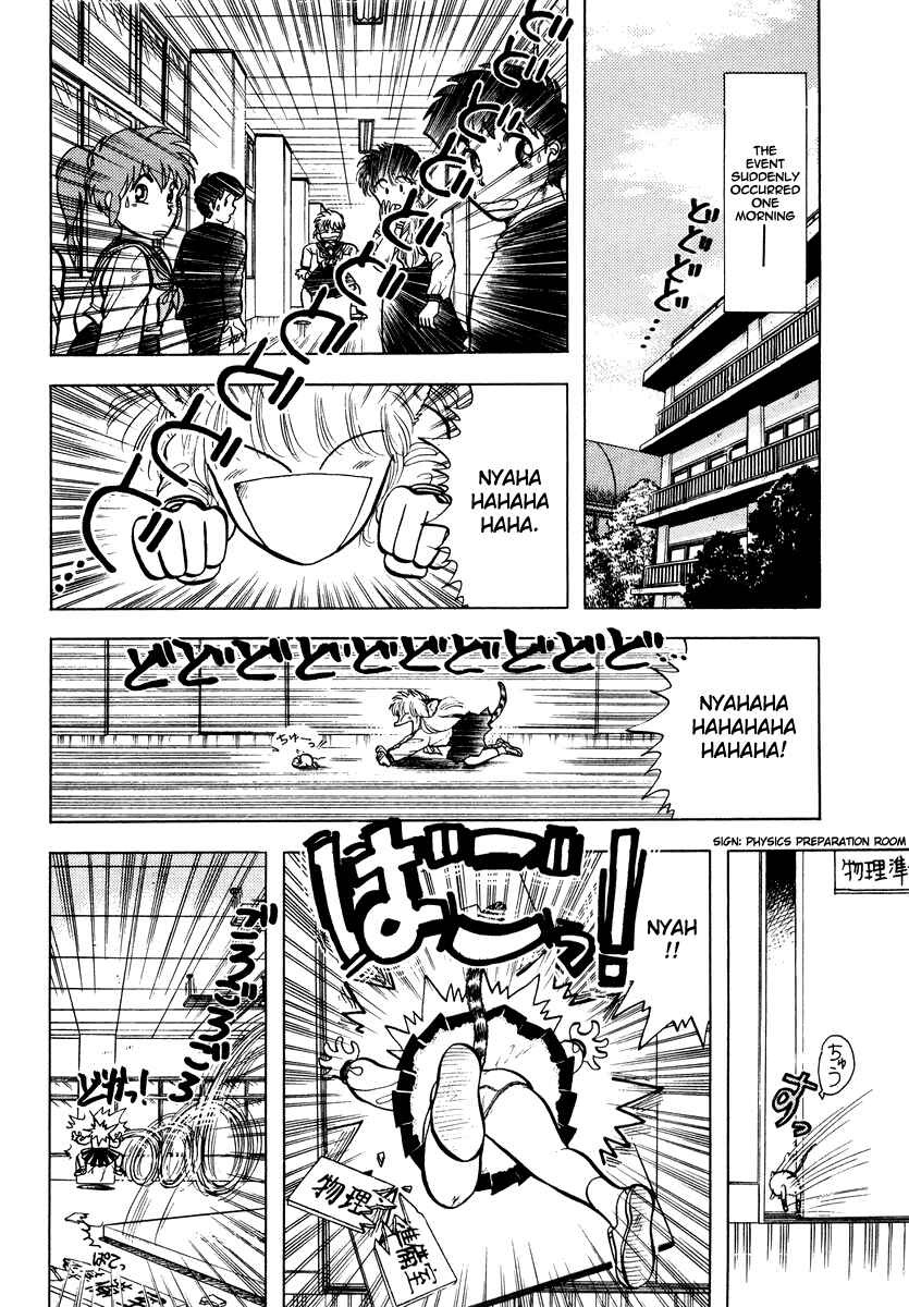 Page 2 Chapter 14 Sorry, Im a Cat!