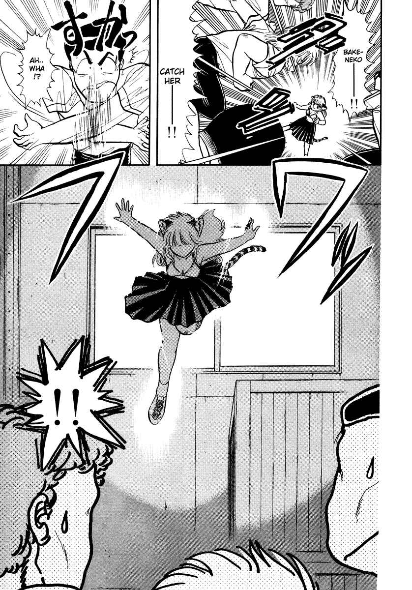 Page 16 Chapter 34 Sorry, Im a Cat!