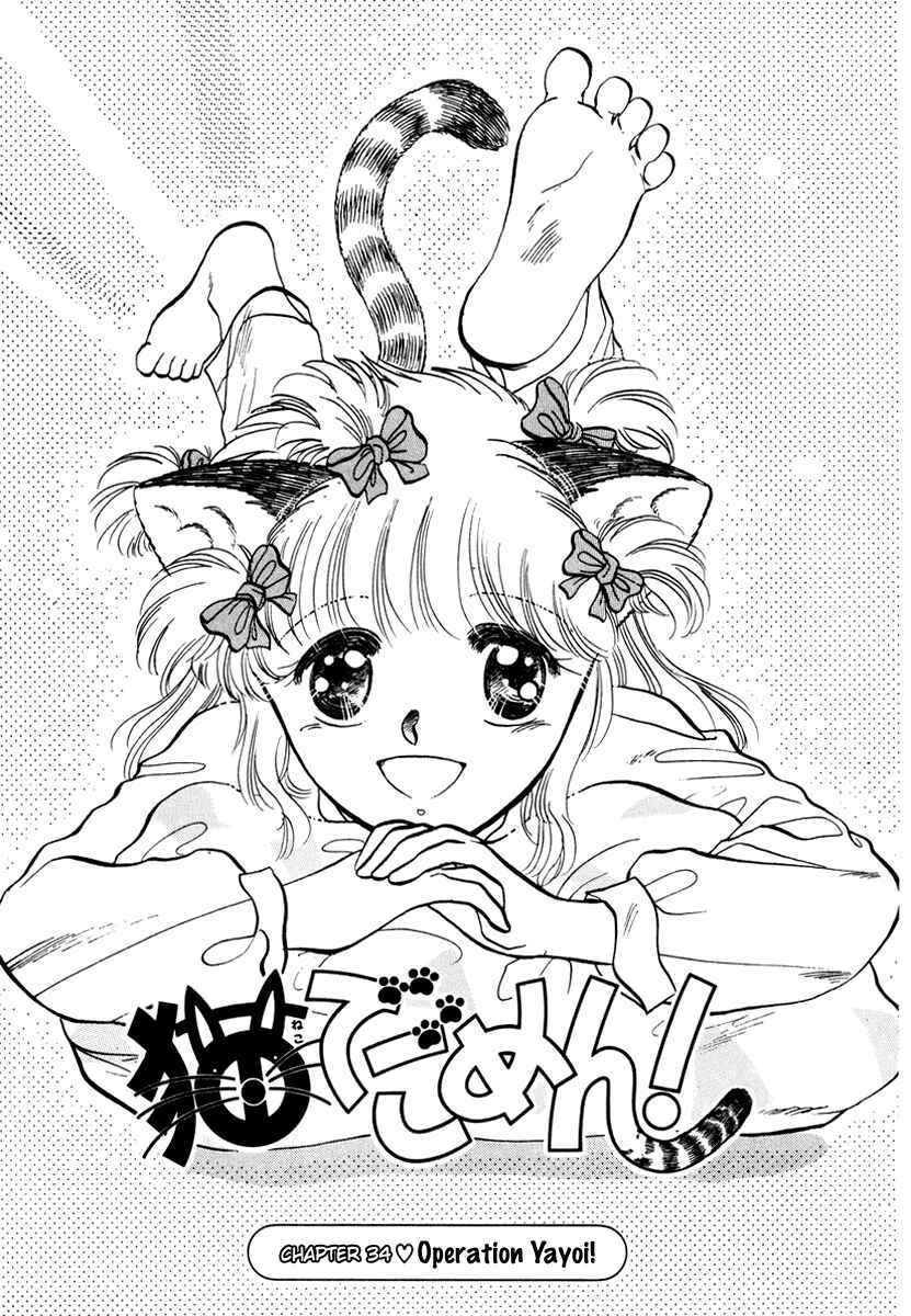 Page 2 Chapter 34 Sorry, Im a Cat!