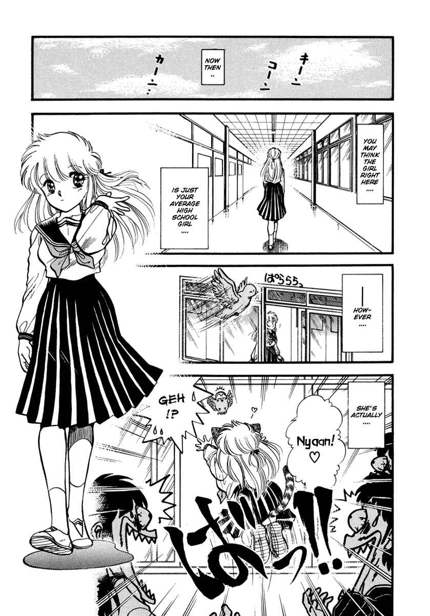 Page 10 Chapter 39 Sorry, Im a Cat!