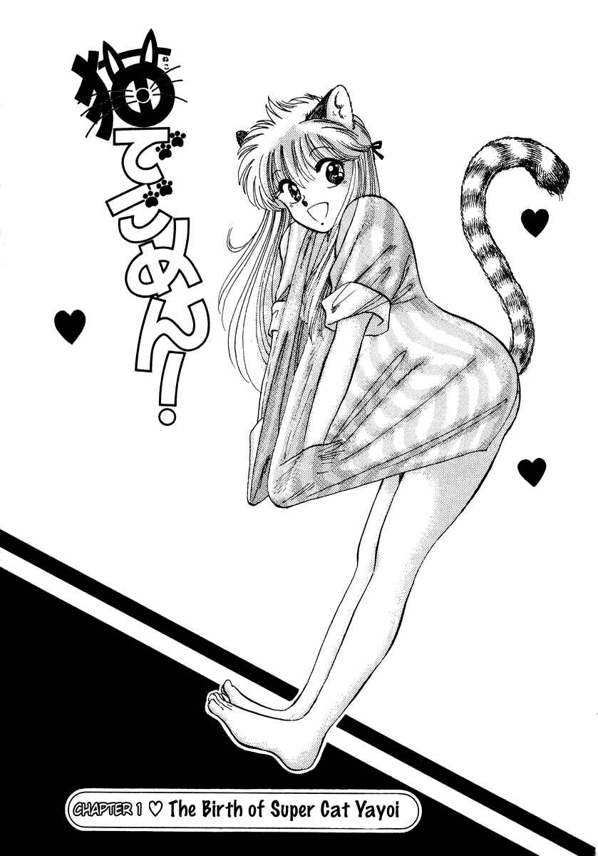 Page 6 Chapter 1 Sorry, Im a Cat!