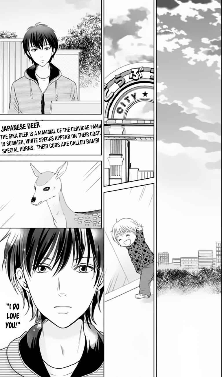 Page 21 Chapter 16 Bambi to Dhole