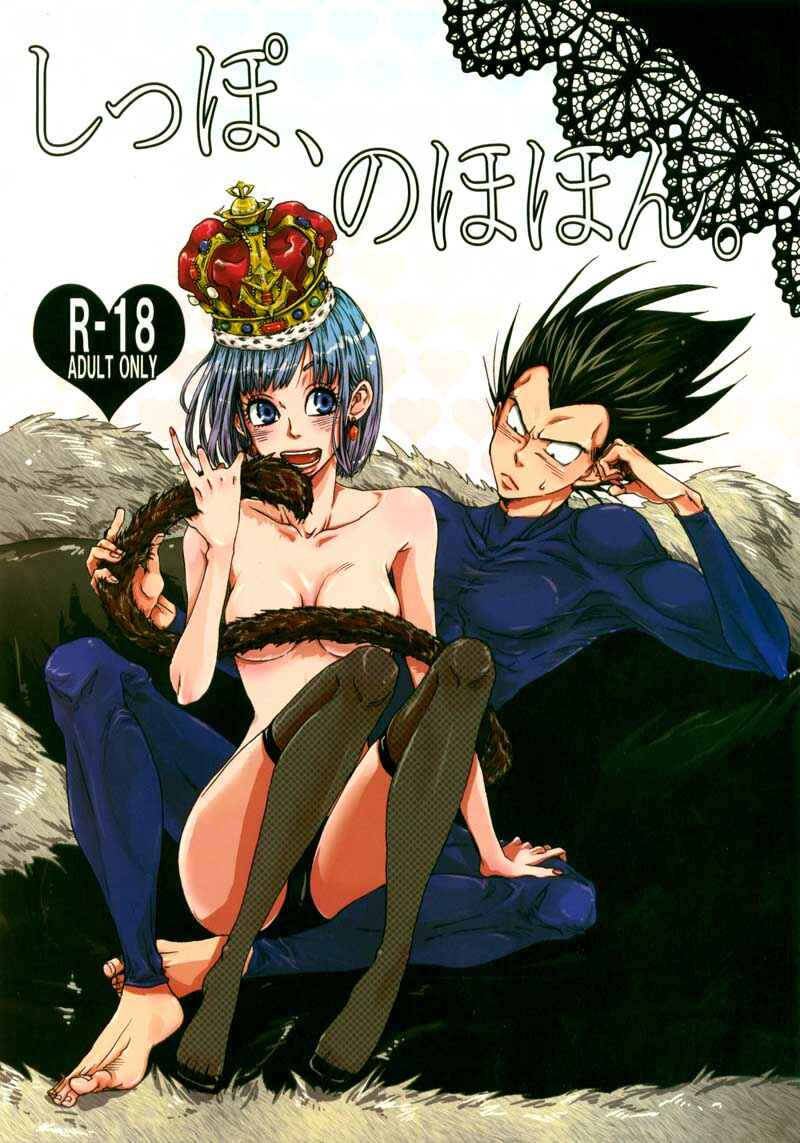 Page 1 Chapter Unknown_6db0 Dragon Ball Z - Tail Book (Doujinshi)